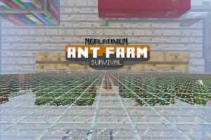 Карта Ant Farm Survival