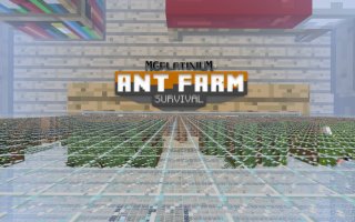Карта Ant Farm Survival