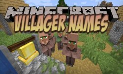 Мод Villager Names (Fabric)