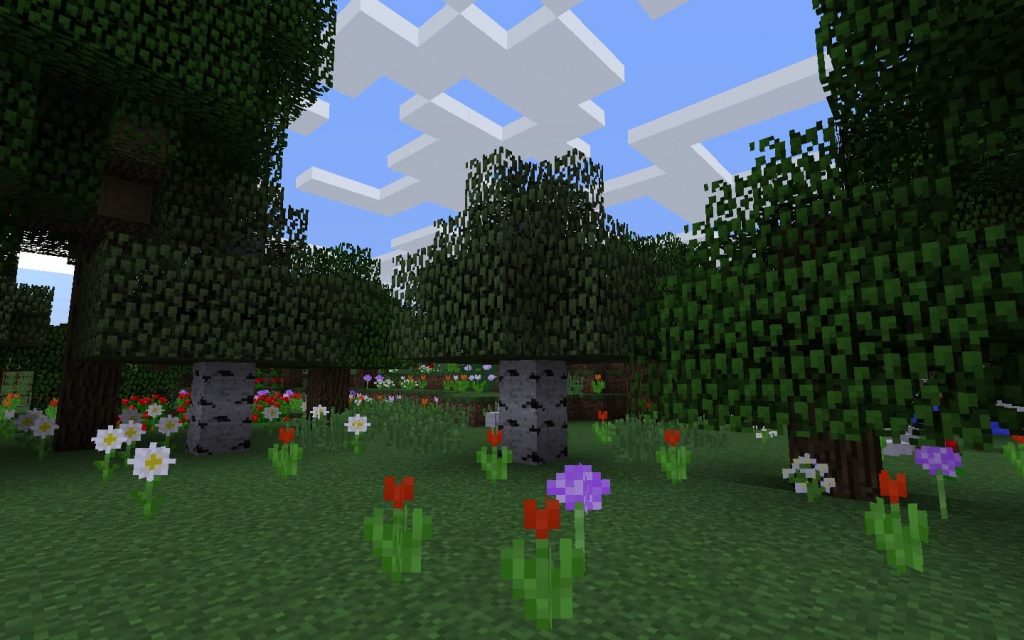 Flowers at Spawn