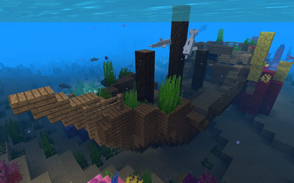 Shipwreck on the Coral Reef