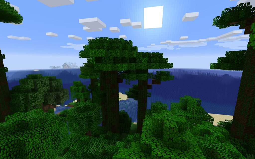 Spawn View of Ocean from Jungle