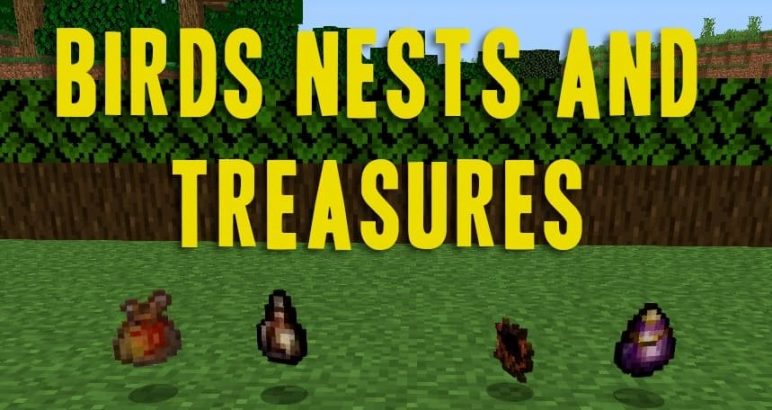 Мод Birds Nests and Treasures