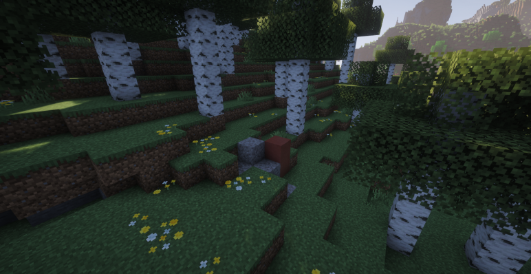 Реликтовый березняк и древние руины