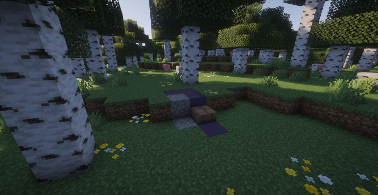 Руины и реликтовый березняк